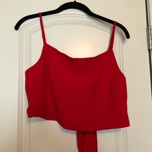 Show Me Your MuMu Cayman Crop Top